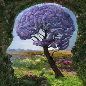 brain-in-nature